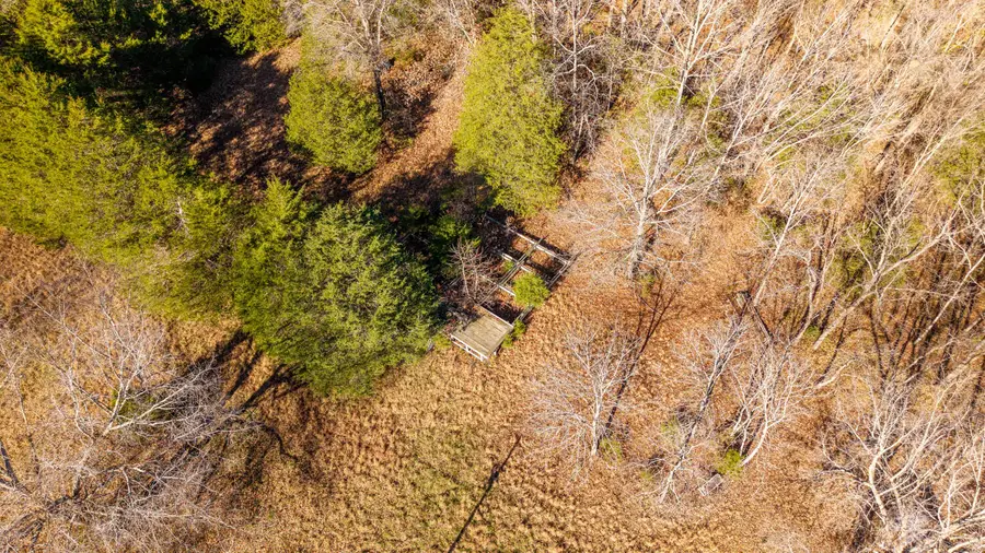 000 Timbercrest Road, Viola, AR 72583 - Image #3