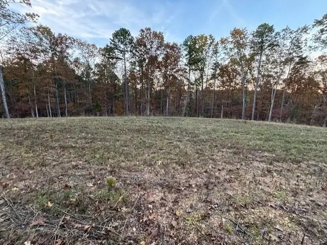 Tbd County Road Ah 272, Vanzant, MO 65768 - Image #3