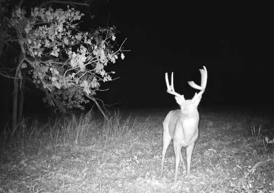 000 S J, Stockton, MO 65785 - Image #3