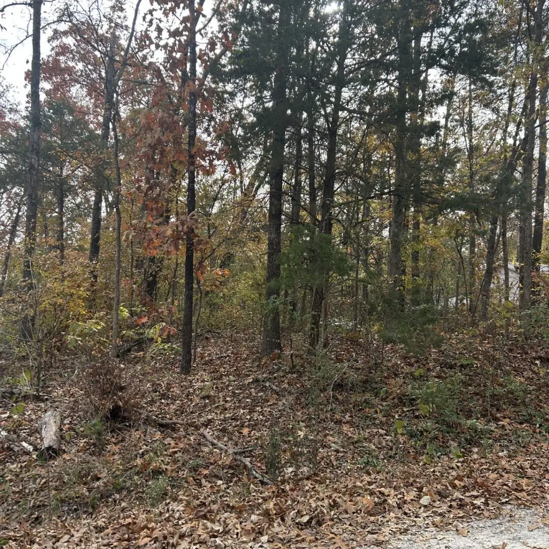 000 Vine Road, Merriam Woods, MO 65740 - #1