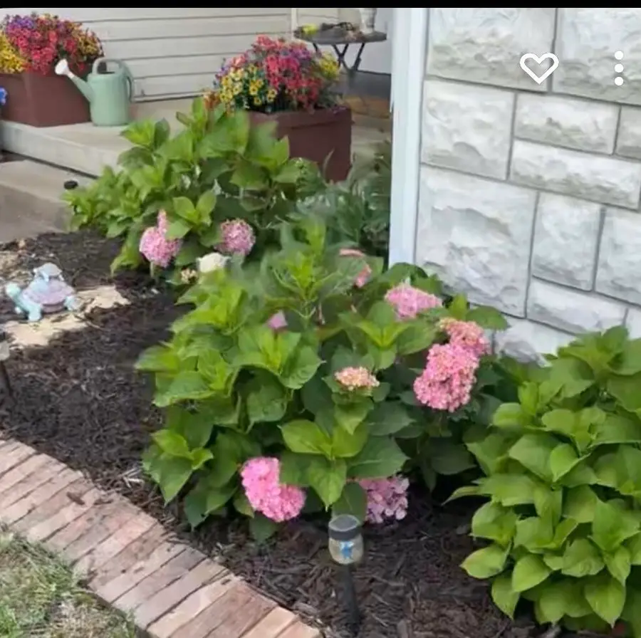 471 W Amber Drive, Oronogo, MO 64855 - Image #3