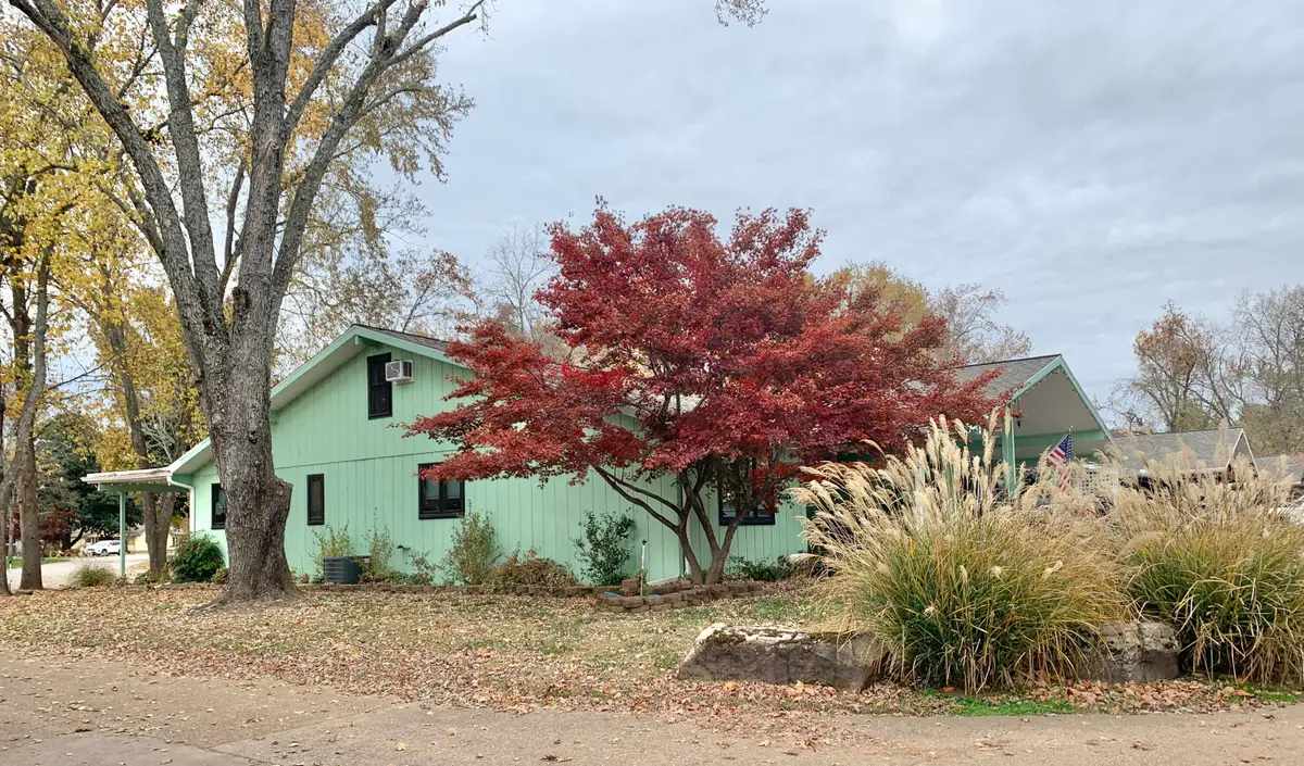 22 Willow Court, Branson, MO 65616 - Image #1