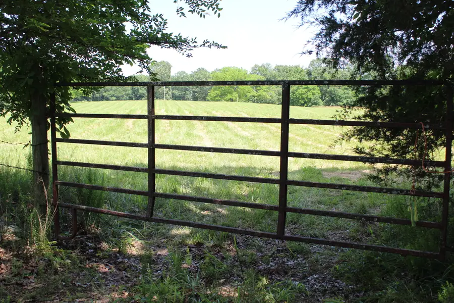 000 Cr 543, Gainesville, MO 65655 - Image #2