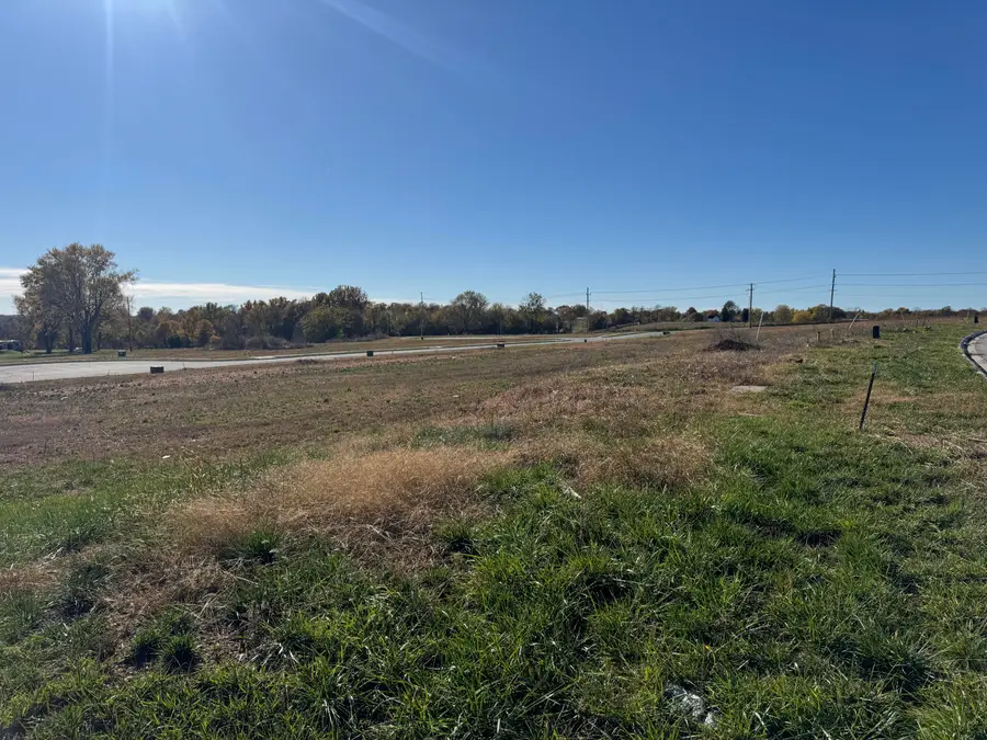 1217 E Macon Street, Republic, MO 65738 - #3