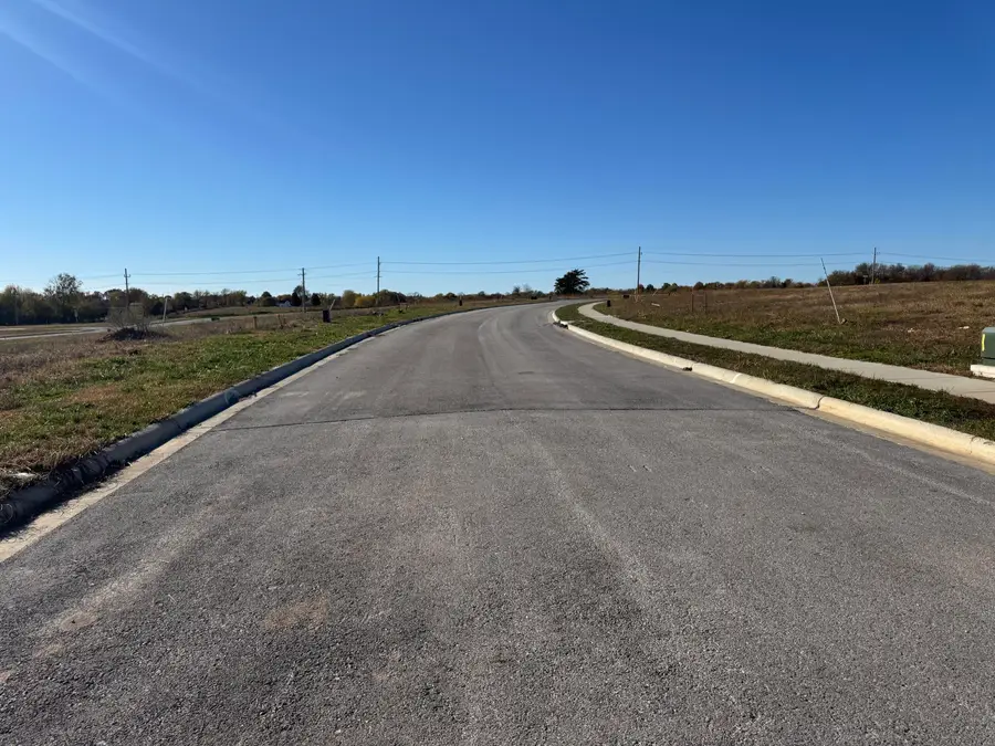 1249 E Macon Street, Republic, MO 65738 - #2