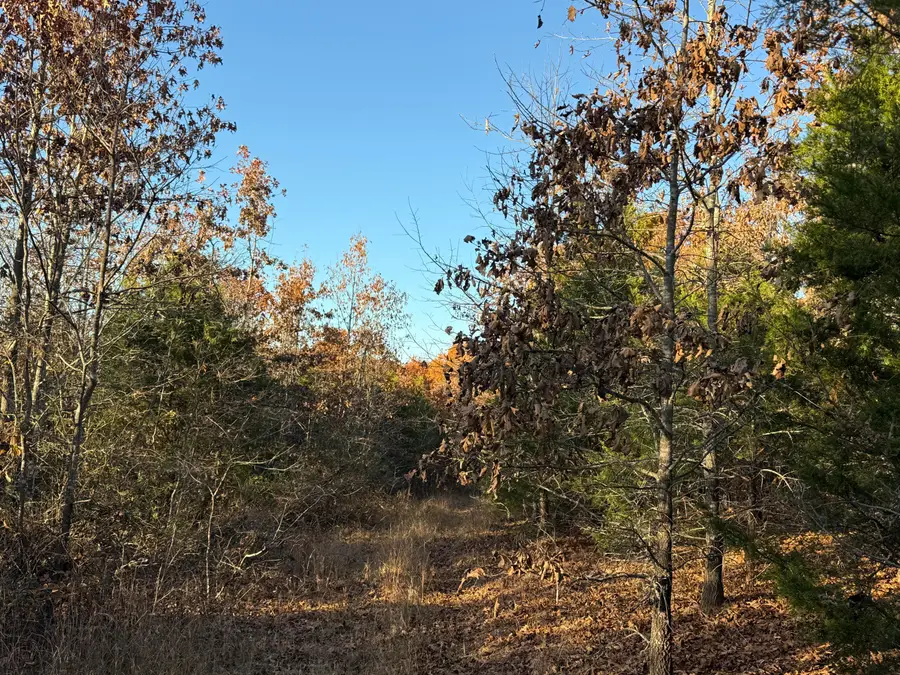 000 County Road 871, Thornfield, MO 65762 - Image #3