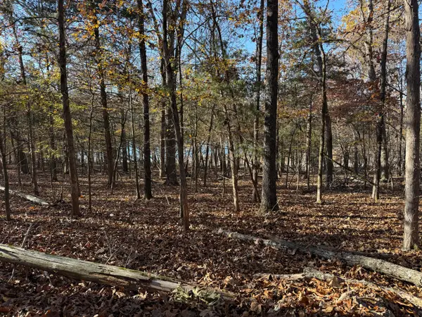 Lot 40 Point Ct., Theodosia, MO 65761