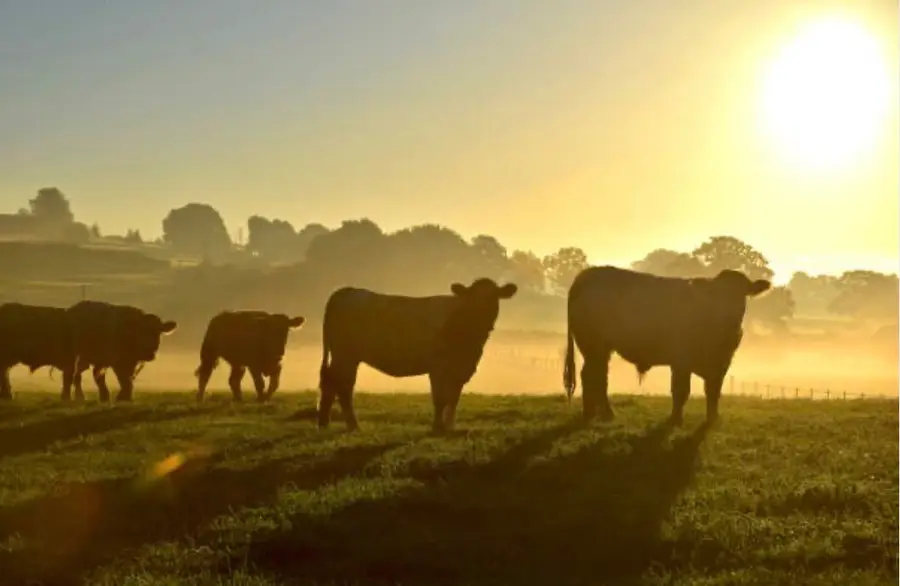 000 N Highway W, Granby, MO 64844 - Image #2