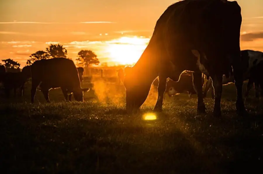 000 N Highway W, Granby, MO 64844 - Image #3