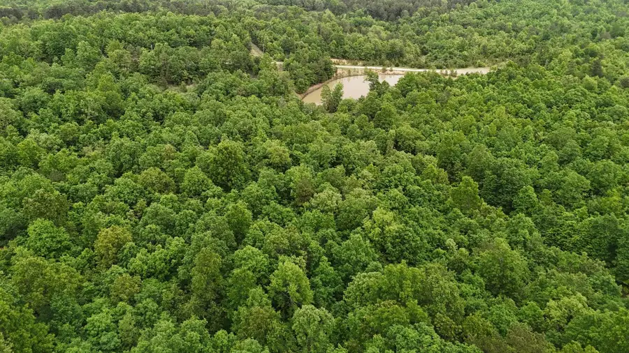 Tract 19 Pine Ridge East, Cabool, MO 65689 - Image #2