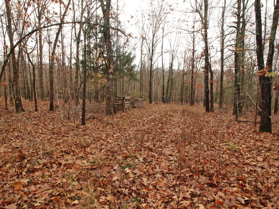 4254 V Highway, Myrtle, MO 65778 - Image #2