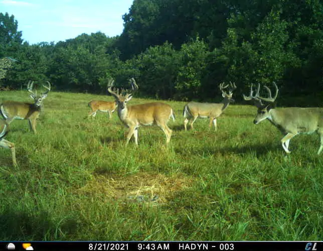 36293 S 565 Road, Jay, OK 74346 - #1