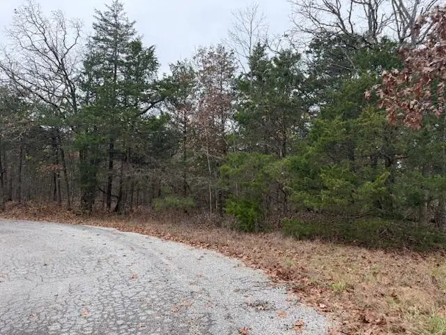 136 Lots Turkey Mountain Estates, Shell Knob, MO 65747 - Image #1
