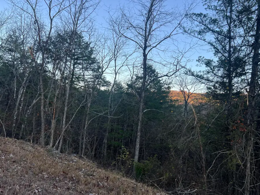 790 Pomme De Terre, Branson, MO 65616 - Image #3