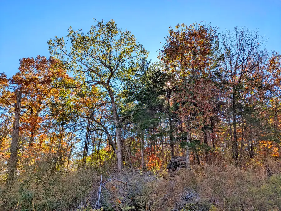 Lot 69&70 Bluebird Road, Rockaway Beach, MO 65740 - Image #2