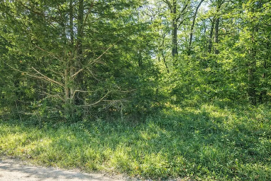 000 SE 951 Road, Collins, MO 64738 - Image #2