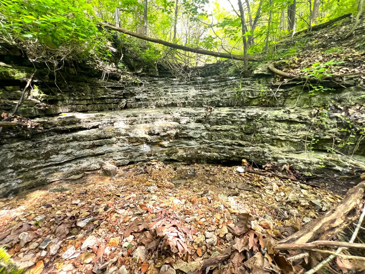 1619 Stone Road, Noel, MO 64854 - Image #1