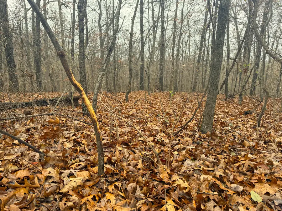 8ac Stone Road, Noel, MO 64854 - Image #3