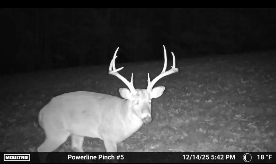 002 State Hwy O, Highlandville, MO 65669 - Image #3