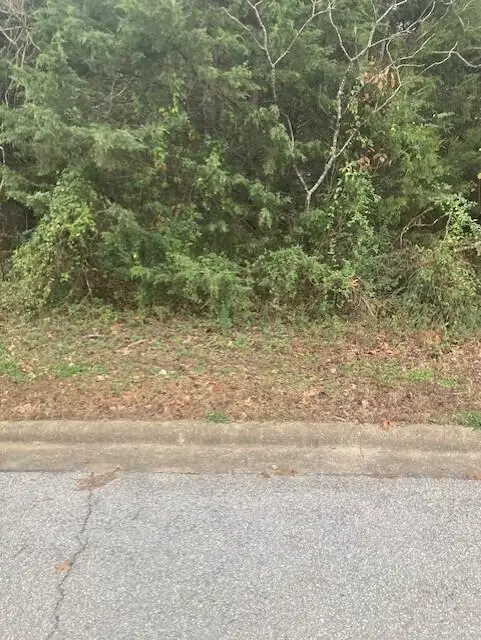 170 Oak Ridge Avenue, Branson, MO 65616 - Image #2