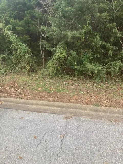 170 Oak Ridge Avenue, Branson, MO 65616 - Image #3