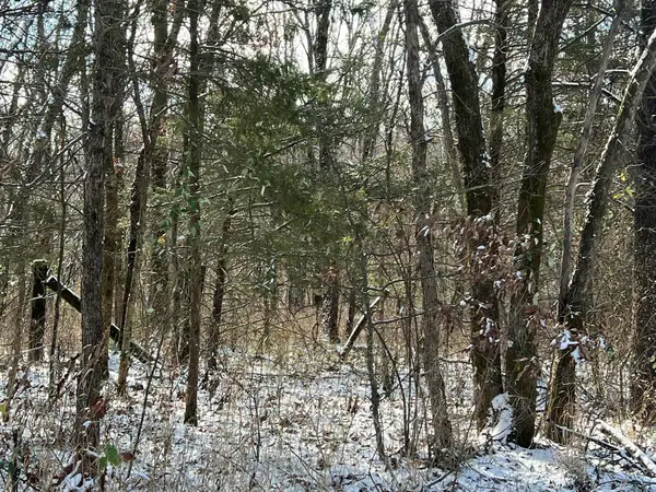 000 Durington, Buffalo, MO 65622