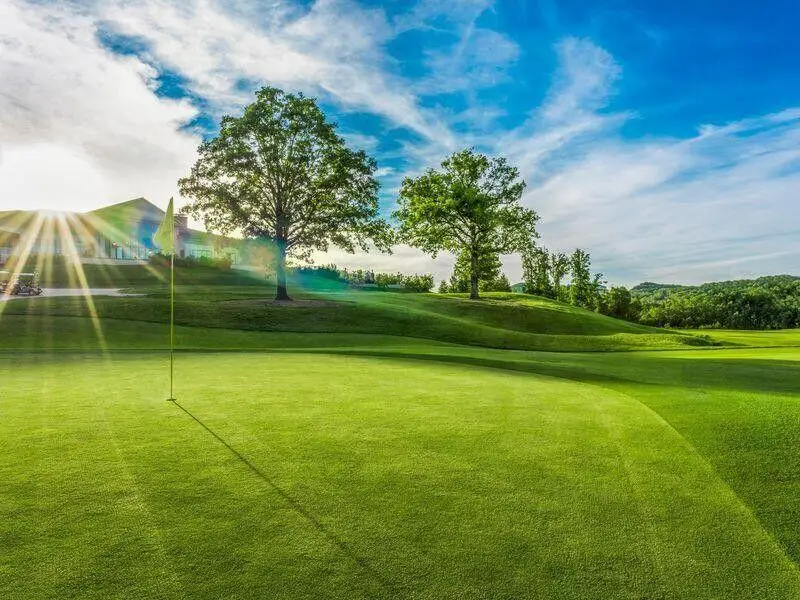 120 Palmer Drive, Branson, MO 65616 - Image #1