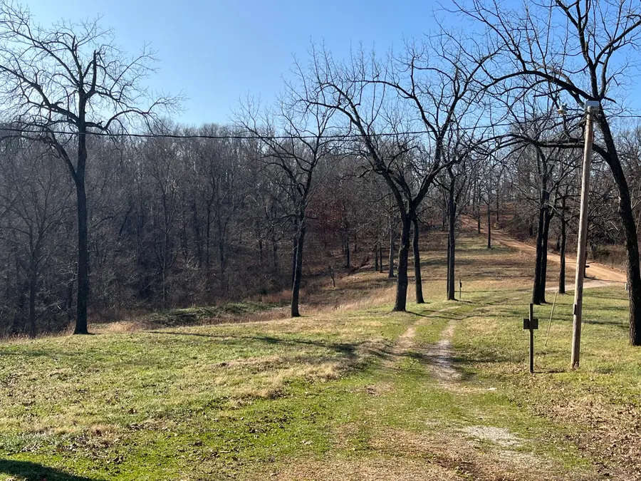 98 Anthony Lane, Pineville, MO 64856 - Image #3