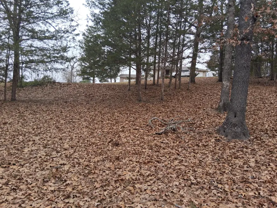 #7 Shore Wind Drive, Theodosia, MO 65761 - Image #2