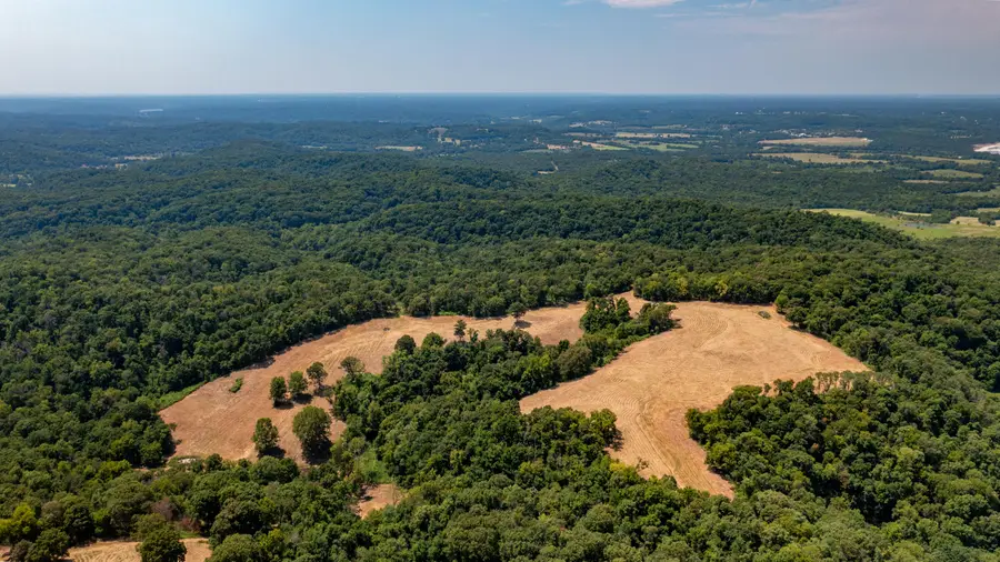 000 Neon Sky Drive, Pineville, MO 64856 - Image #3