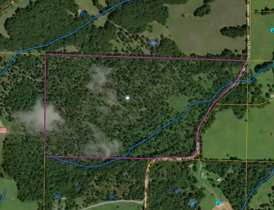 Tbd County Road 219, Thayer, MO 65791 - Image #2