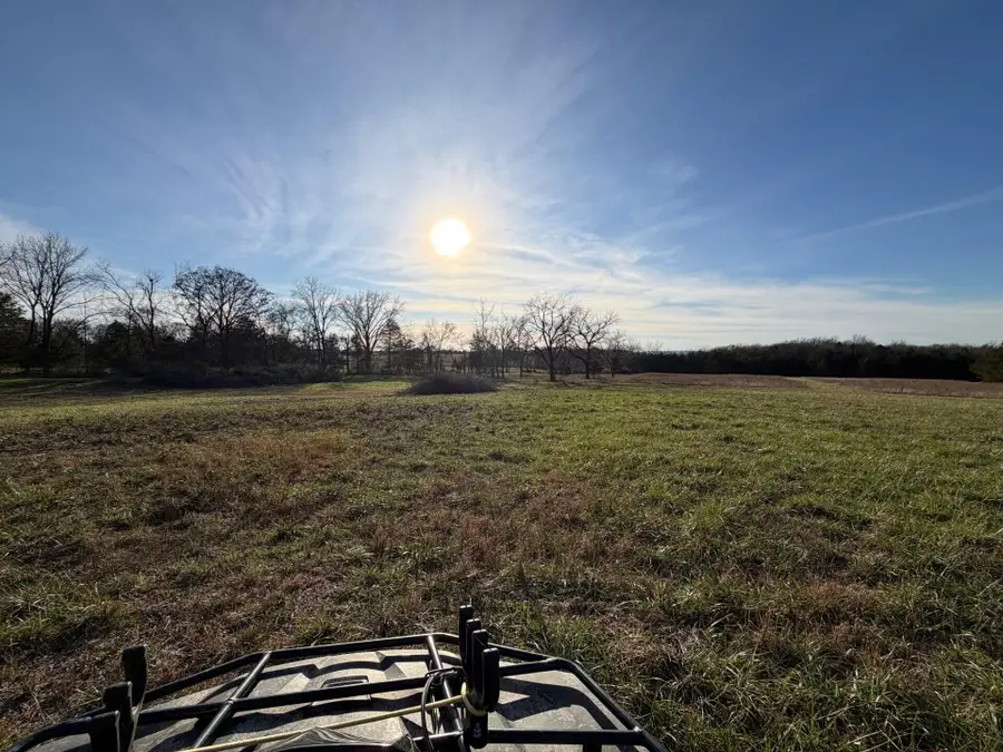 000 State Hwy Aa, Taneyville, MO 65759 - Image #2