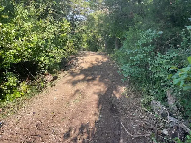 000 Daless Court, Hollister, MO 65672 - Image #2