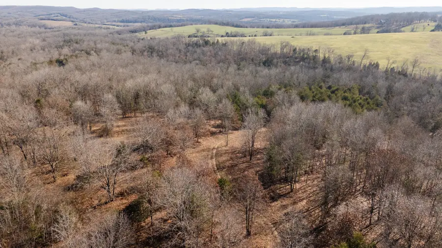 406 Horner Drive, Bradleyville, MO 65614 - Image #2