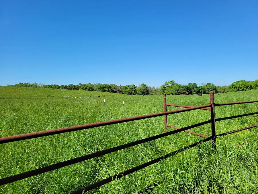 0 Red Barn Road #E Side, Grovespring, MO 65662 - Image #2