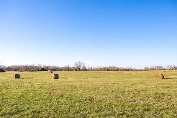 Address Withheld By Seller, Oak Grove, AR 72660