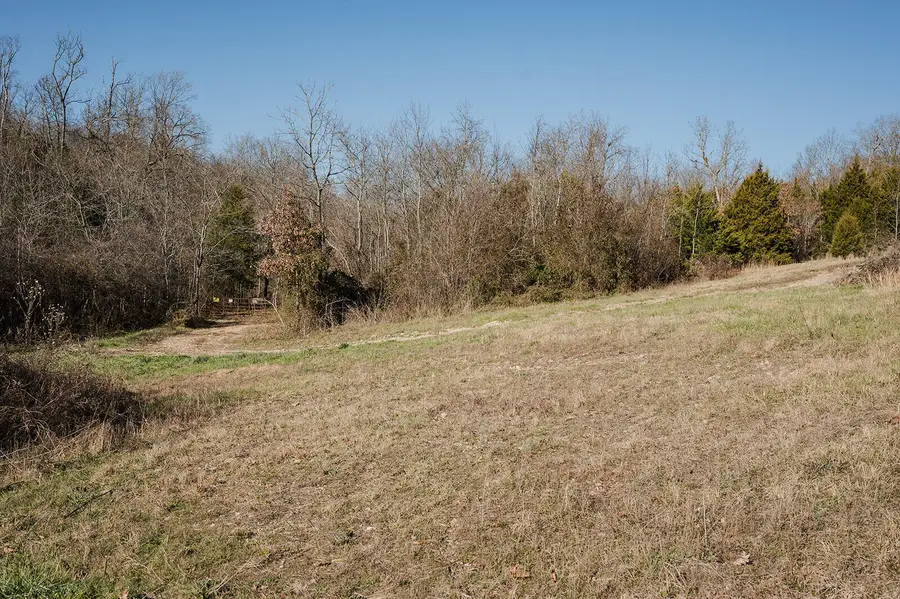 3891 State Rte 38, Hartville, MO 65667 - Image #3