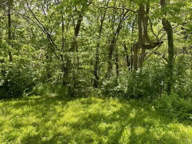 5096 N Farm Rd 197, Springfield, MO 65803 - #3