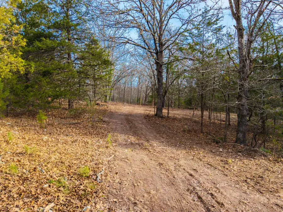 001 Highway Ac, Drury, MO 65638 - Image #2