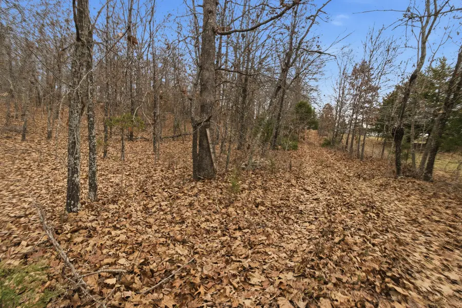 Tbd Old Highway 60, Mountain View, MO 65548 - Image #3