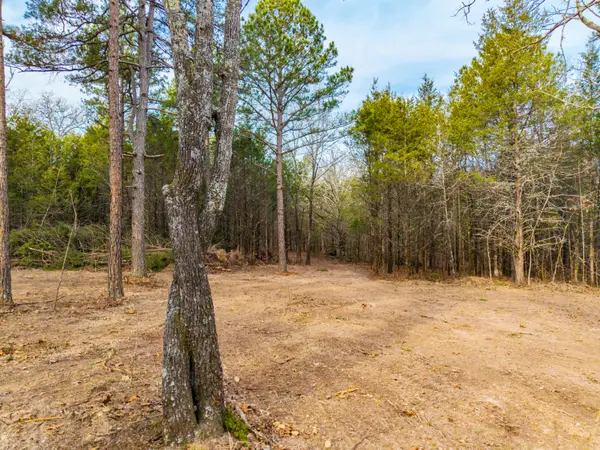 003 State Hwy Ac, Drury, MO 65638