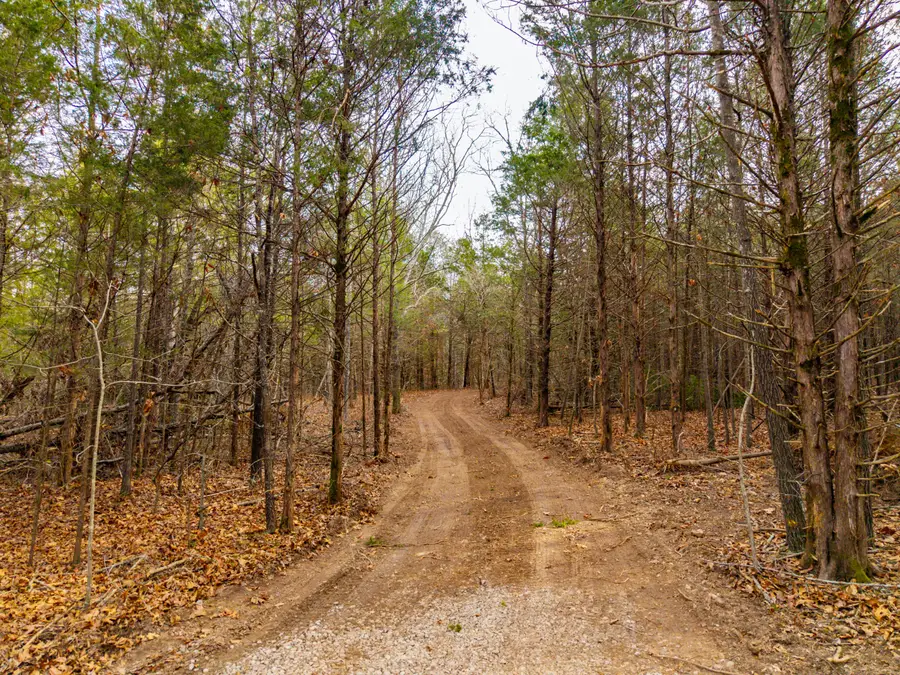 003 State Hwy Ac, Drury, MO 65638 - Image #3