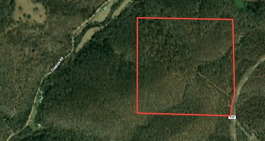 000 State Highway 137, Willow Springs, MO 65793 - Image #2