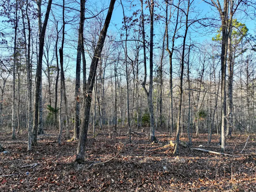 000 Bass Rock Drive Lot 2, Van Buren, MO 63965 - #2