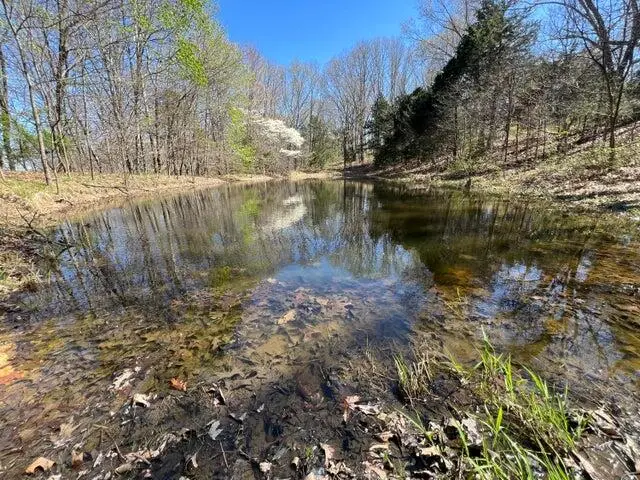 240ac K Highway, Pineville, MO 64856 - Image #3