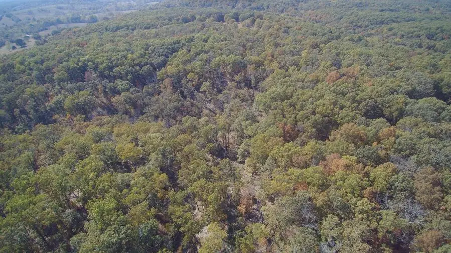 000 Independence Drive, Fordland, MO 65652 - Image #2