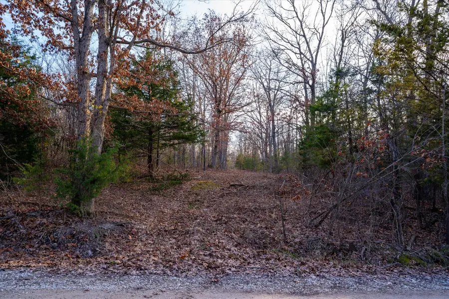 000 E 405th Road, Dunnegan, MO 65640 - Image #2