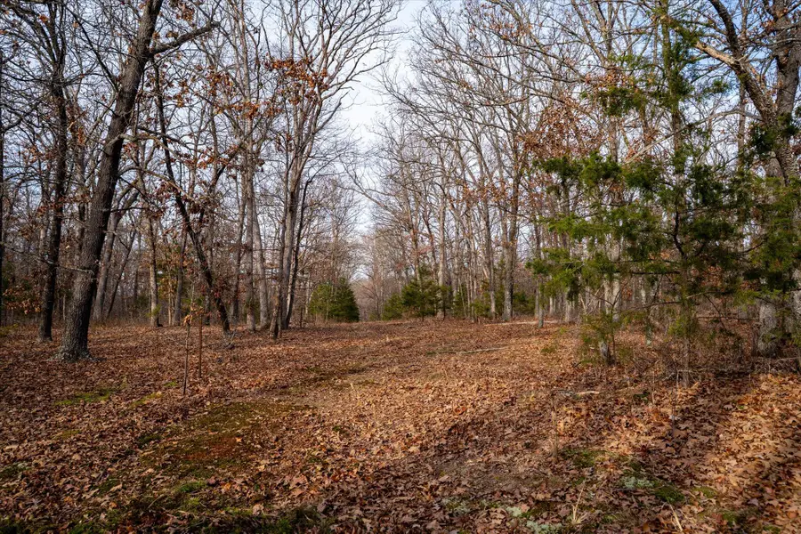 000 E 405th Road, Dunnegan, MO 65640 - Image #3