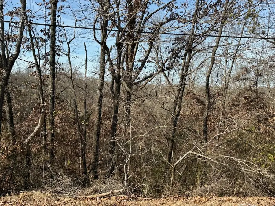 000 Highway 289 Street, Mammoth Spring, AR 72554 - #2