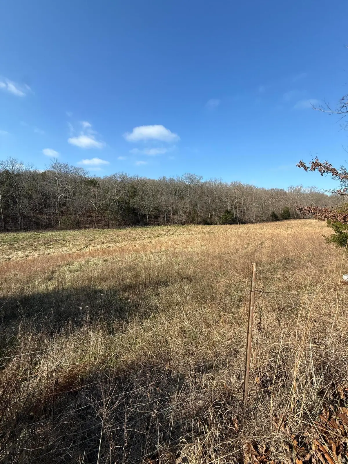 000 Varvel Rd, Willow Springs, MO 65793 - #1